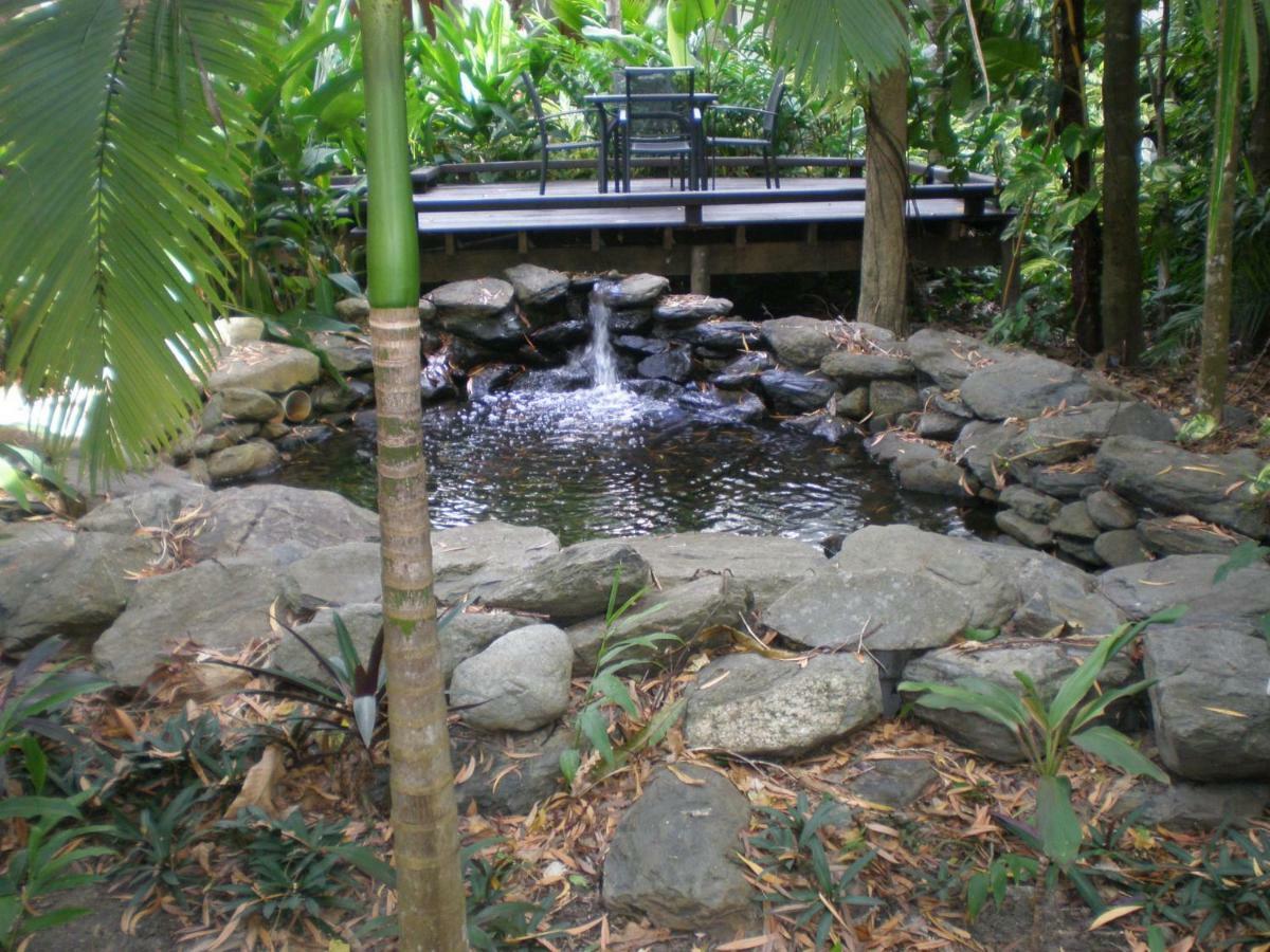 Hidden Gem @ Palm Cove Appartamento Esterno foto